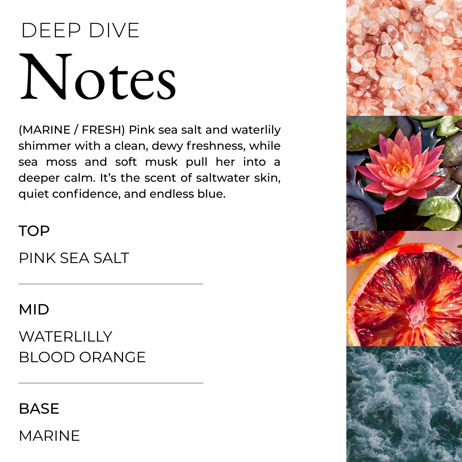 Deep Dive Palm Air Freshener - Image 5