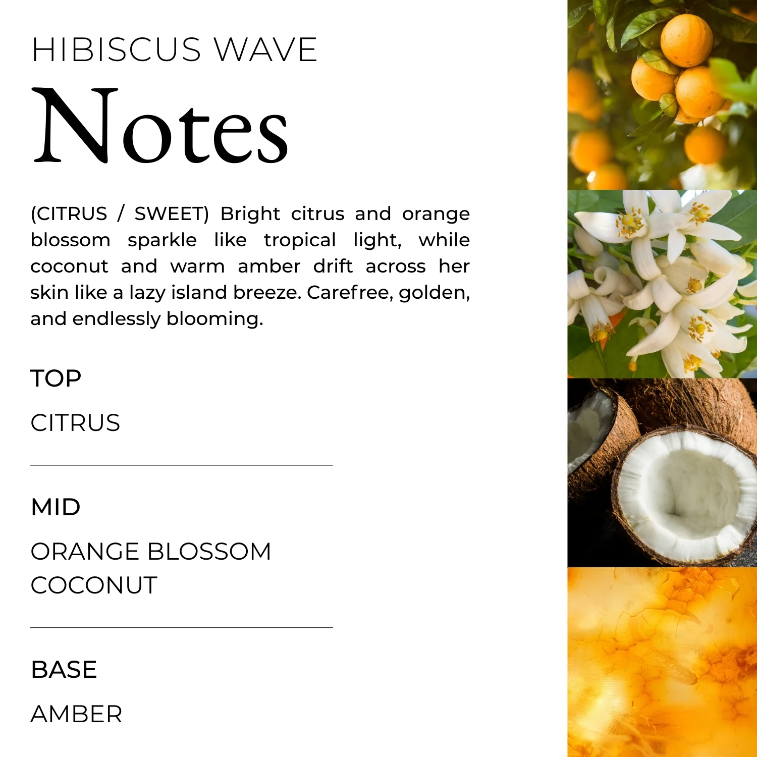 Hibiscus Wave Palm Air Freshener - Image 5