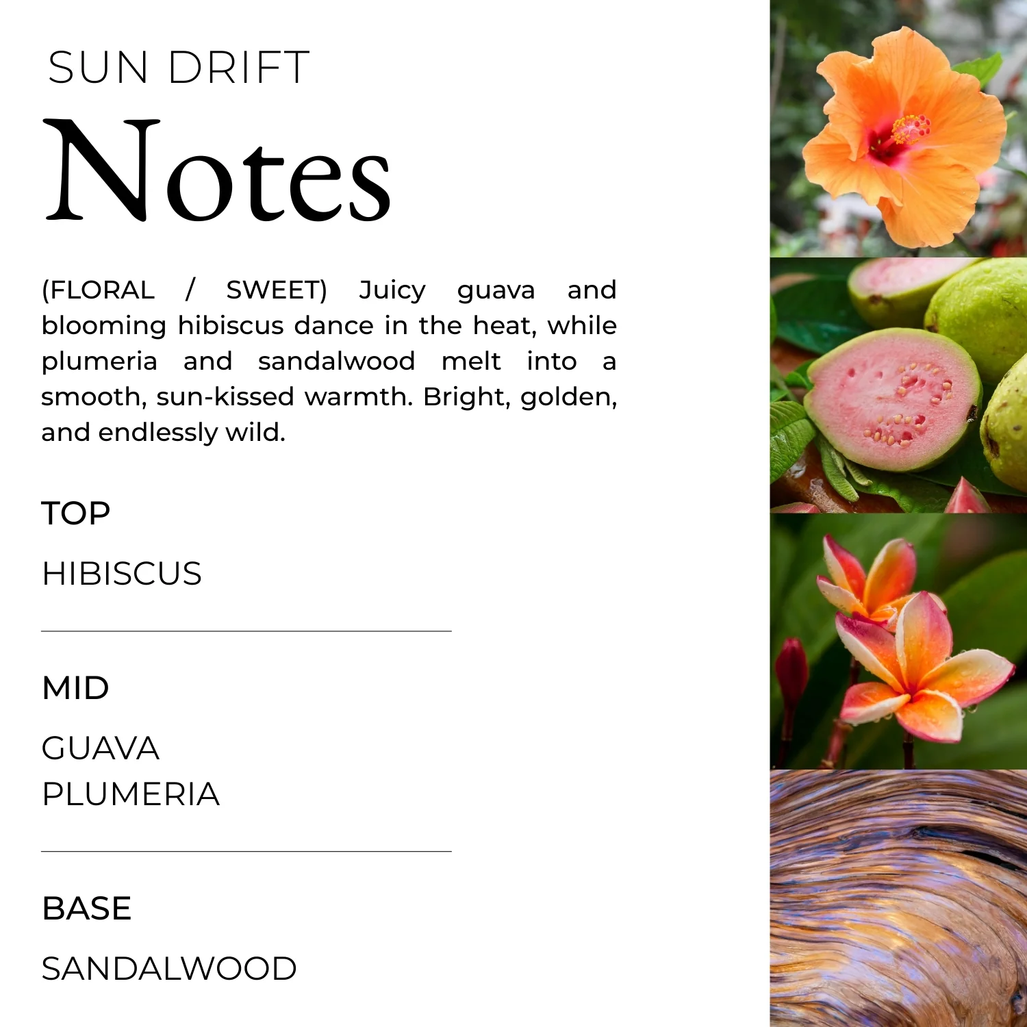 Sun Drift Palm Air Freshener - Image 5